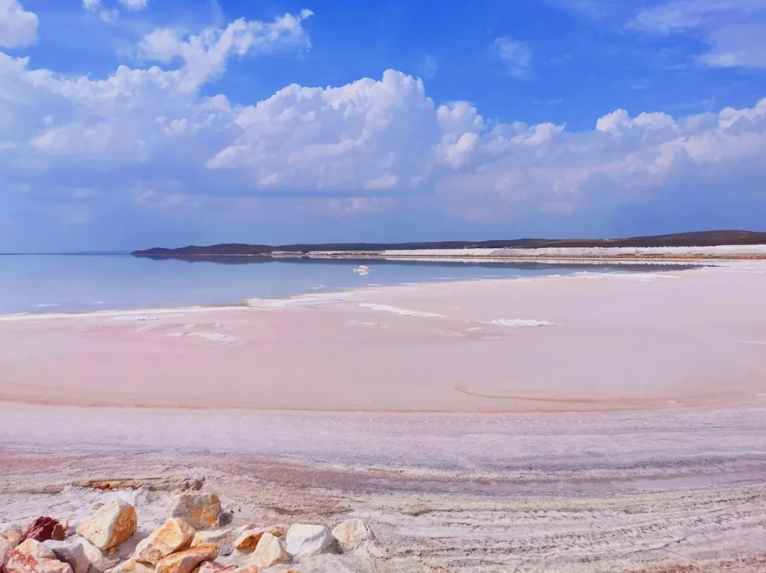 5bd5425b3c50b62e97822268601d0704-sz_302874