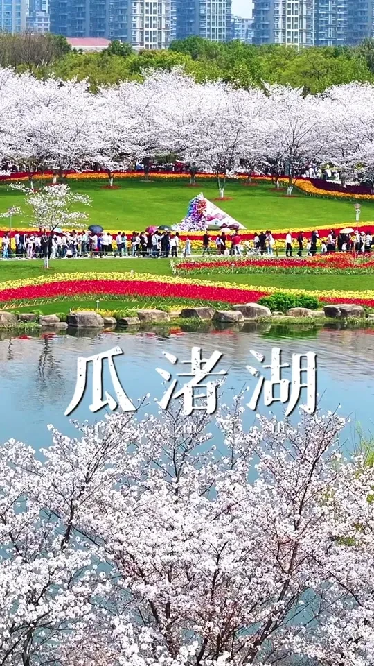 5c1bbe92829daaecb8ac2a0e10b912fe-sz_287862