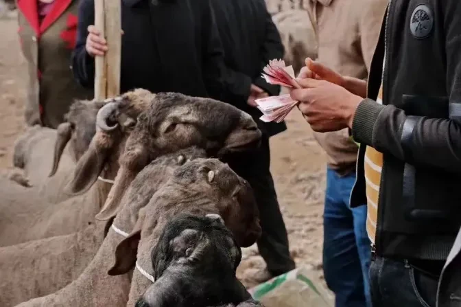 5ce9818809ed196f4d9c467274fda1f0-sz_664306