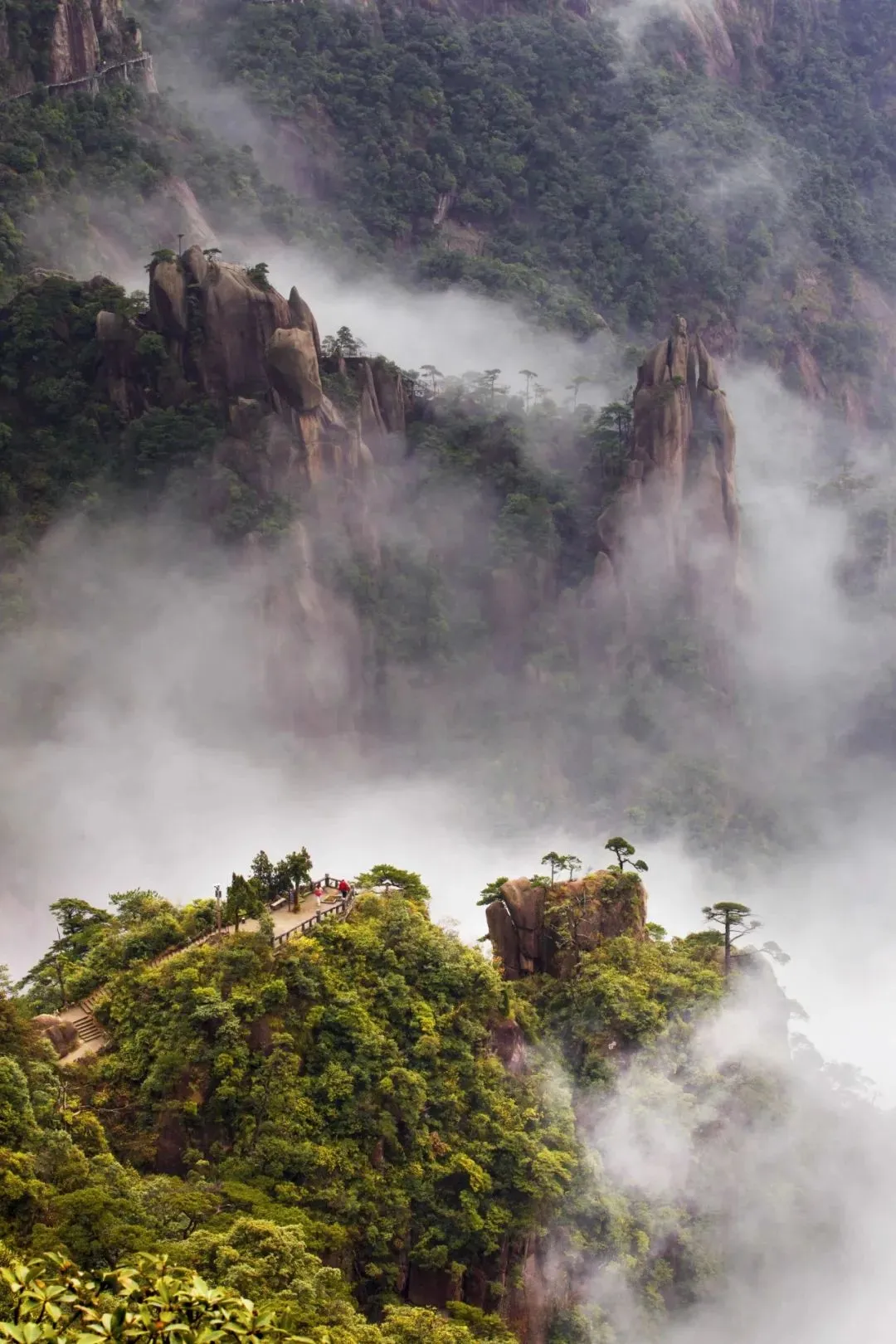 5d715afb6ac5c35b18c4a5fc110c3d94-sz_243865