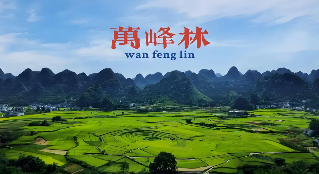 5da256a346014336d5fea852adb9b62c-sz_1159774