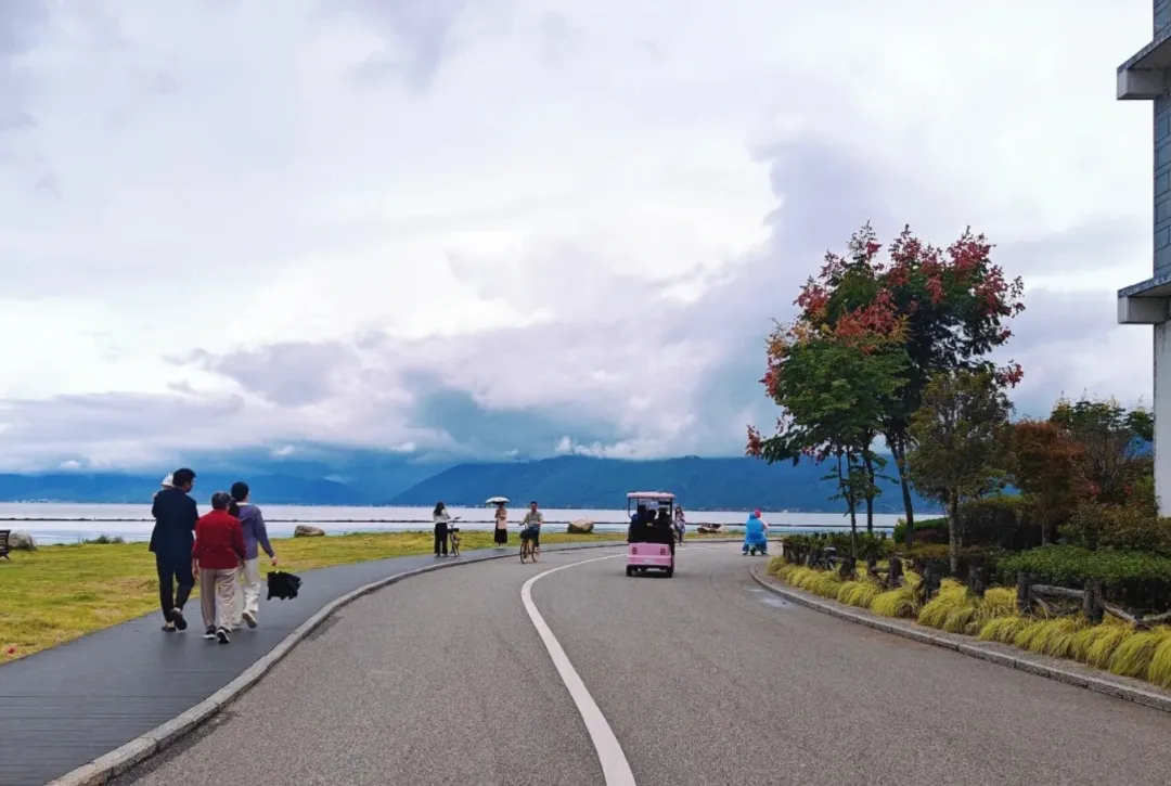 5dbcf13930225f482330ebd65247029f-sz_2051679