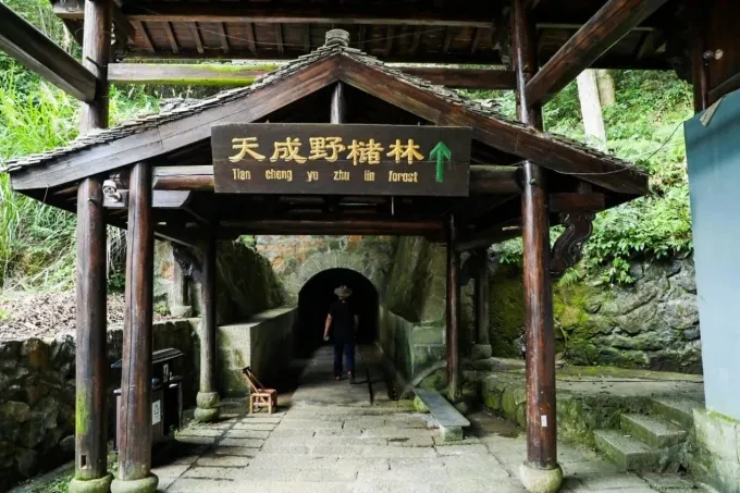 5e32328c2e9bba478ddac402cfa7ac25-sz_560003 5e32328c2e9bba478ddac402cfa7ac25-sz_560003