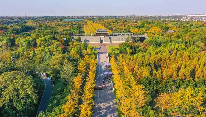 5e33ab658ed6f6ae9918655b7f149328-sz_133660