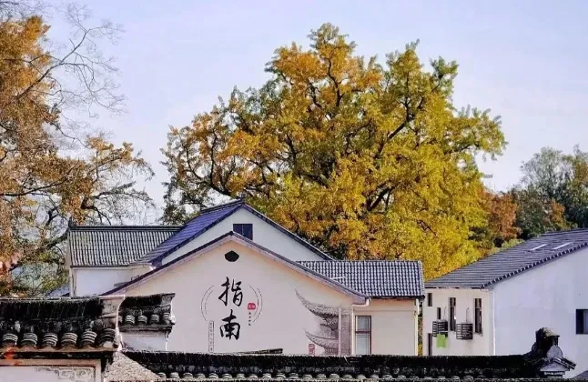 5e40021e43924895d48efcc0c1964a7c-sz_683115 5e40021e43924895d48efcc0c1964a7c-sz_683115