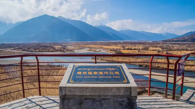 5eafc081a0eae2bcb856aedbe8415fdb-sz_53929