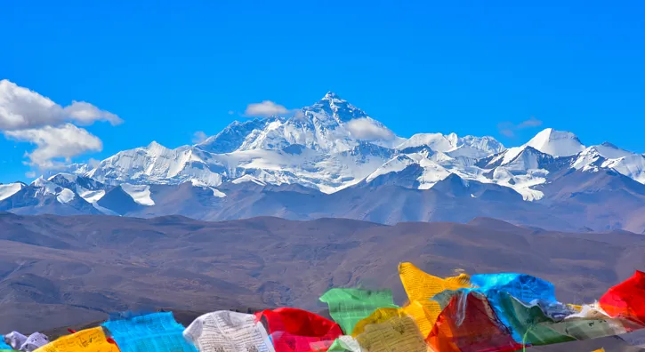 5ebc1609734c8ece2bf855a8774de095-sz_492970