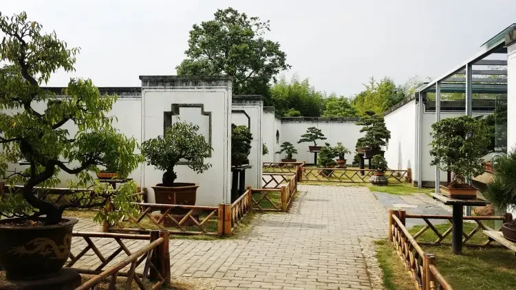 5ebd19b65c5b0f3af46912880169cd06-sz_292677 5ebd19b65c5b0f3af46912880169cd06-sz_292677