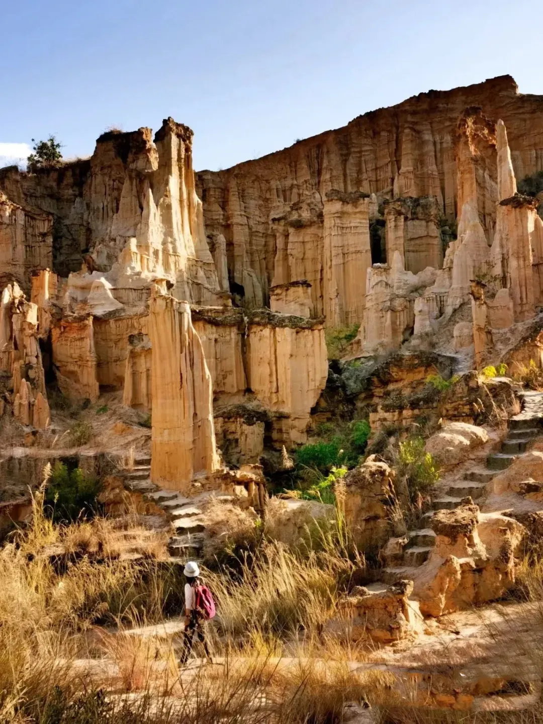 5ecb64244cef0ebded35ae2381307e05-sz_3424562