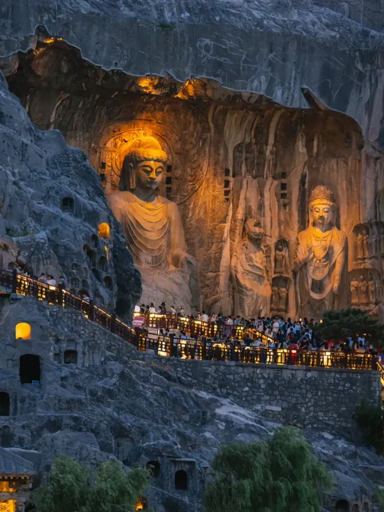 5f46b1d91a7136c5eb05a5e12a2c6e14-sz_2336742