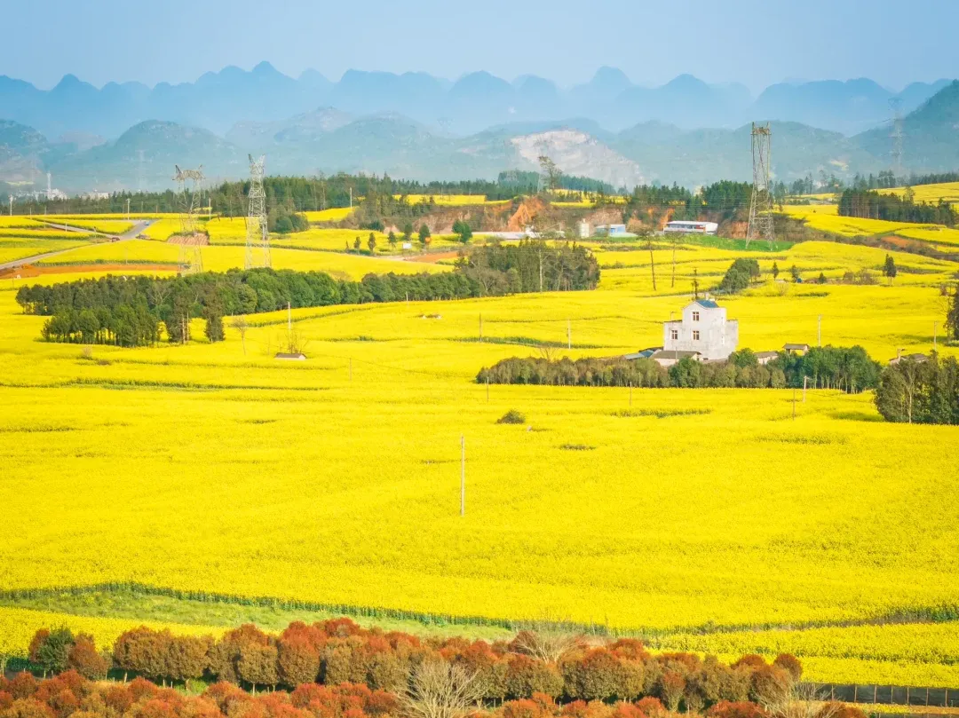 5f6542a4b95ae135cb51f12620dd8cb4-sz_3065979