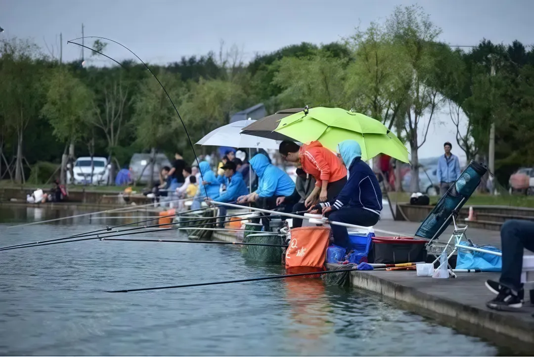 5f723140d13cd5bc7495f3e171eb3be0-sz_1700148