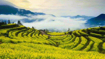 5f998f76d1cb784a96b3f0997792b16d-sz_2078680