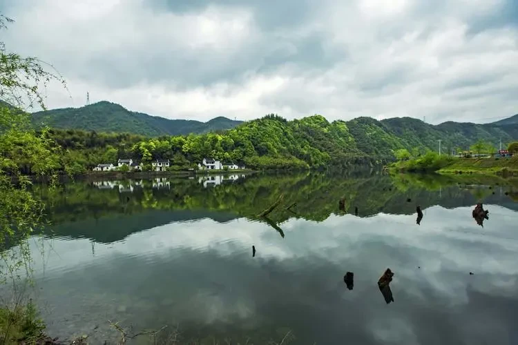 5fd090ad0ccea0912940d6c85610b343-sz_52559