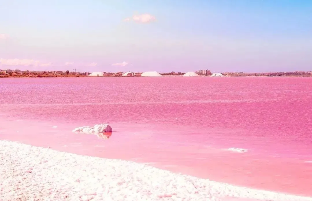 5ff7845e2fd6a9c38d533b0aba4e1509-sz_116336-1