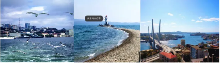 604dba820cacf74004209dd8f4c03071-sz_603626