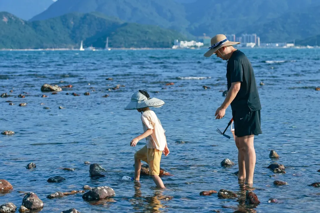 604dcb832ea0f5a7fc5a786afe5f3d13-sz_2002757