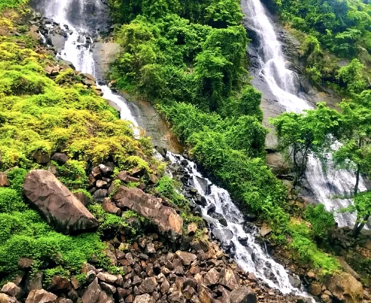 606a261e45fdbb4728e3b29b07d79978-sz_1251588