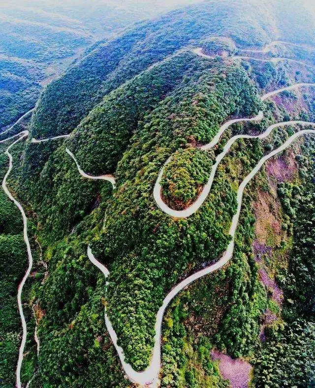 60a22e5129999ffbae8cf19073c9a718-sz_163899