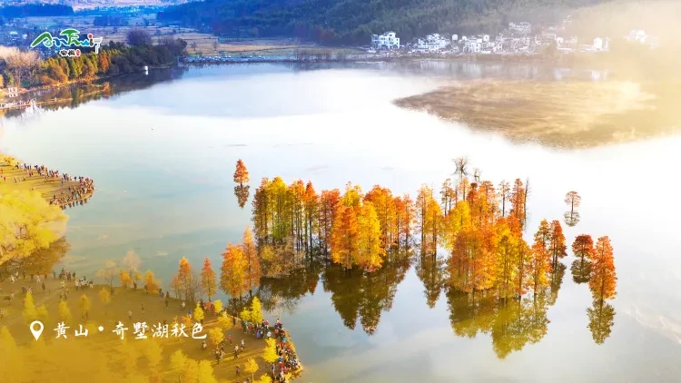 60d7eb881b71851e4a5349e877bba14e-sz_3889229