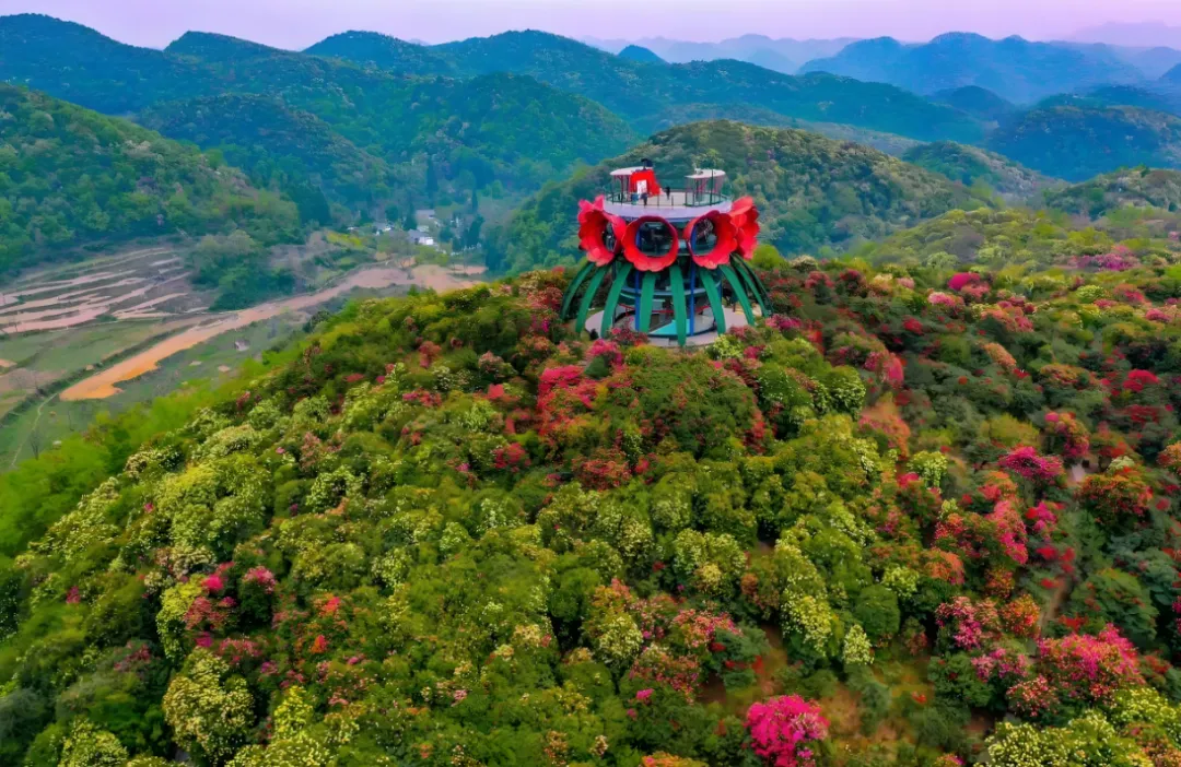 60ddac5b0f76debde8dc1e53bff7d7a4-sz_1720413