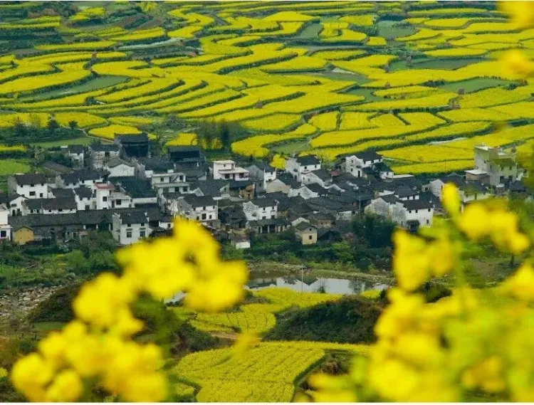 610018e5134685dc7039add2ba935e4b-sz_125615