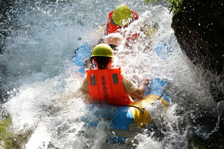 612c08c00bb79f6378f5e7c4388792f0-sz_878973