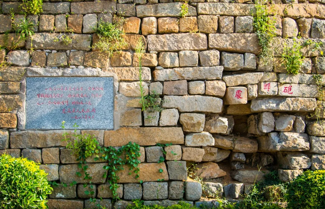 61542d19ef8084904d5a20697147fa11-sz_2347945-1