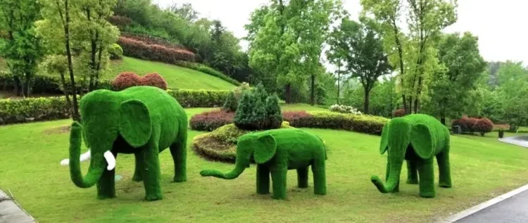 619f4384dc3a8aee989629e20c6aca79-sz_109678