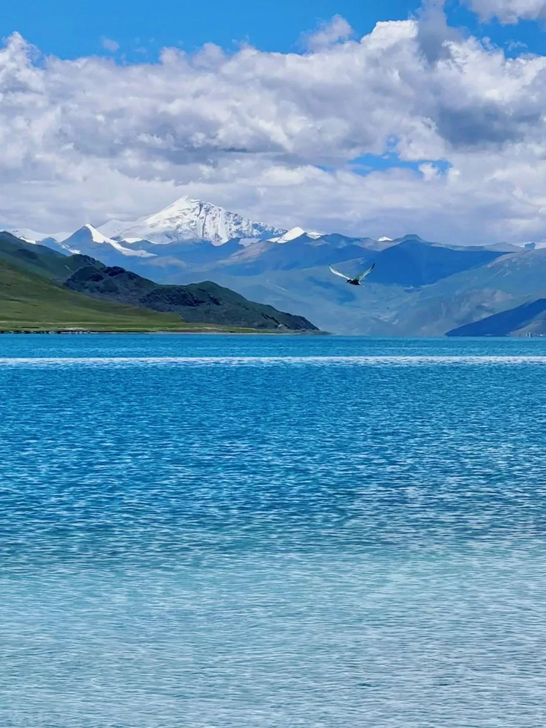 61a0078f790255943b1e6fe1c7e2c4d8-sz_3166507