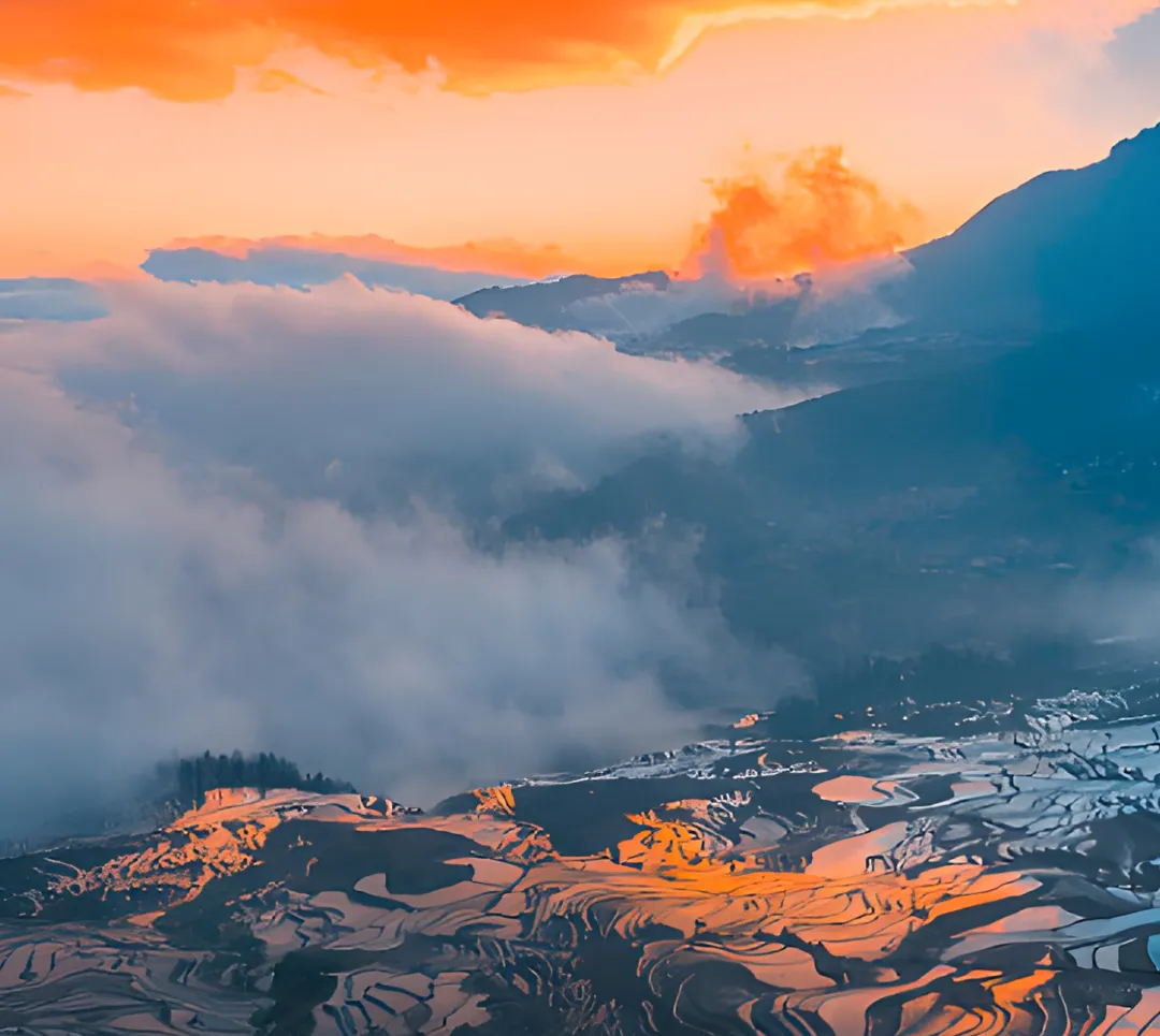 61c84c5dfa0a804c63b3178835826083-sz_1392738-1