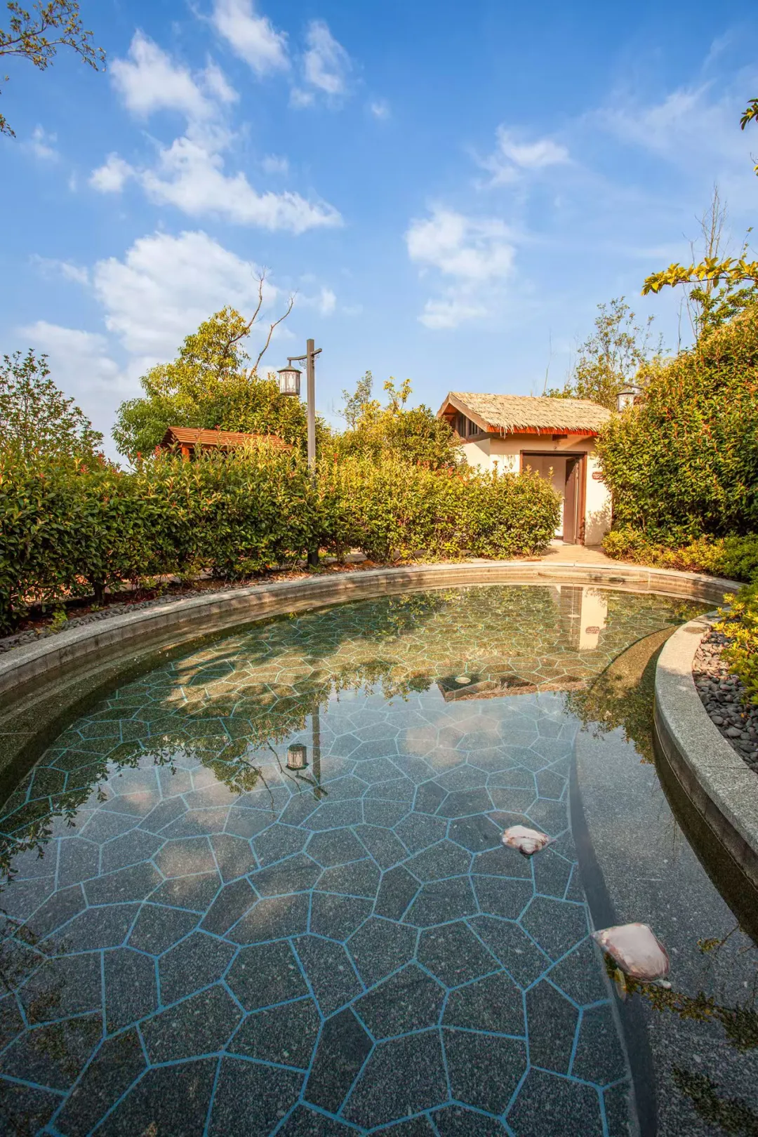 61d44205d49f39b222f7e9c517b03241-sz_694595