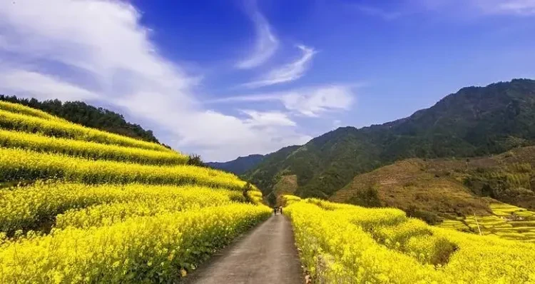 61df8400ba43ba37b8d26b7d0511a7fa-sz_72119