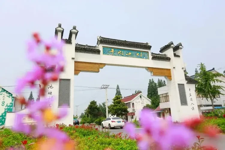 61e9f797f5daaf3d0a4478c3e6f9e7c9-sz_905783