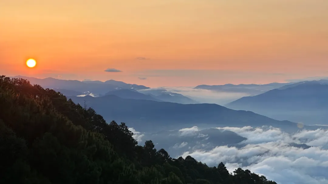 61f739378120dcf86409718440bd78f3-sz_1260793-1