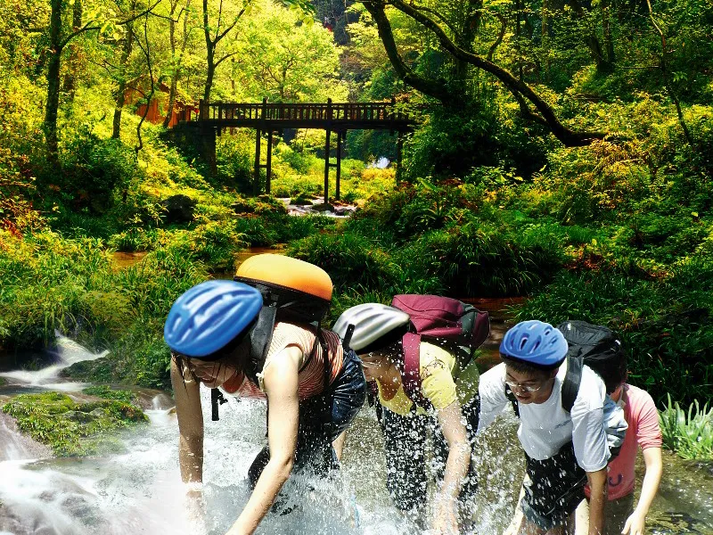 62067c10400243b15881142e618beee4-sz_755737