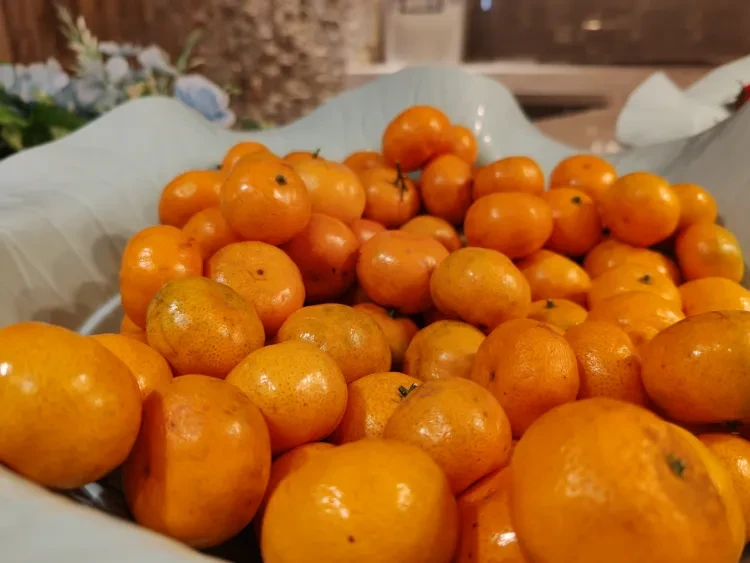 62580eade43933c919d10b9e920a14a1-sz_2930376-1