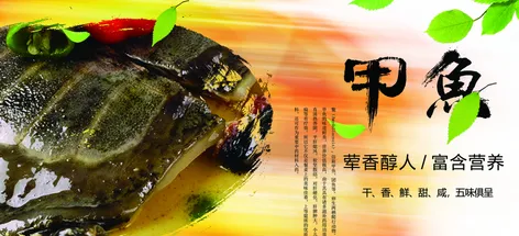 628829deafaa27a28baae1aa10665411-sz_224369-1