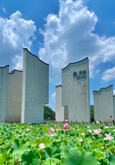 629657be9850d68eabc84a8ecd53efd6-sz_495020 629657be9850d68eabc84a8ecd53efd6-sz_495020