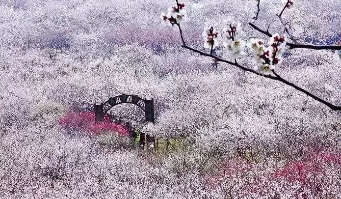 62b3252a3ae83a103d26a7556f5de7ce-sz_610846