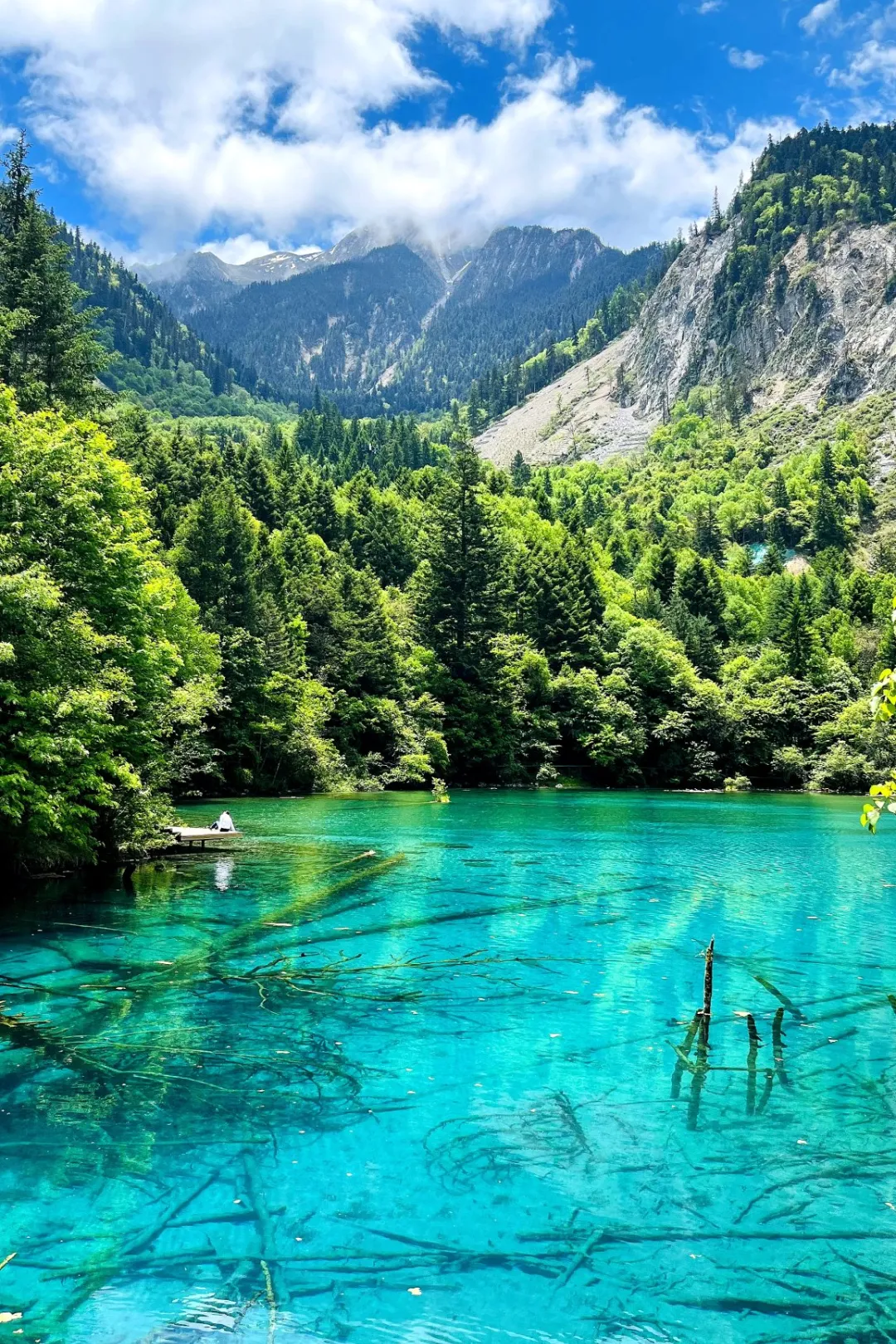 62b3680a169939bb87d8a08273152a9c-sz_800894 62b3680a169939bb87d8a08273152a9c-sz_800894