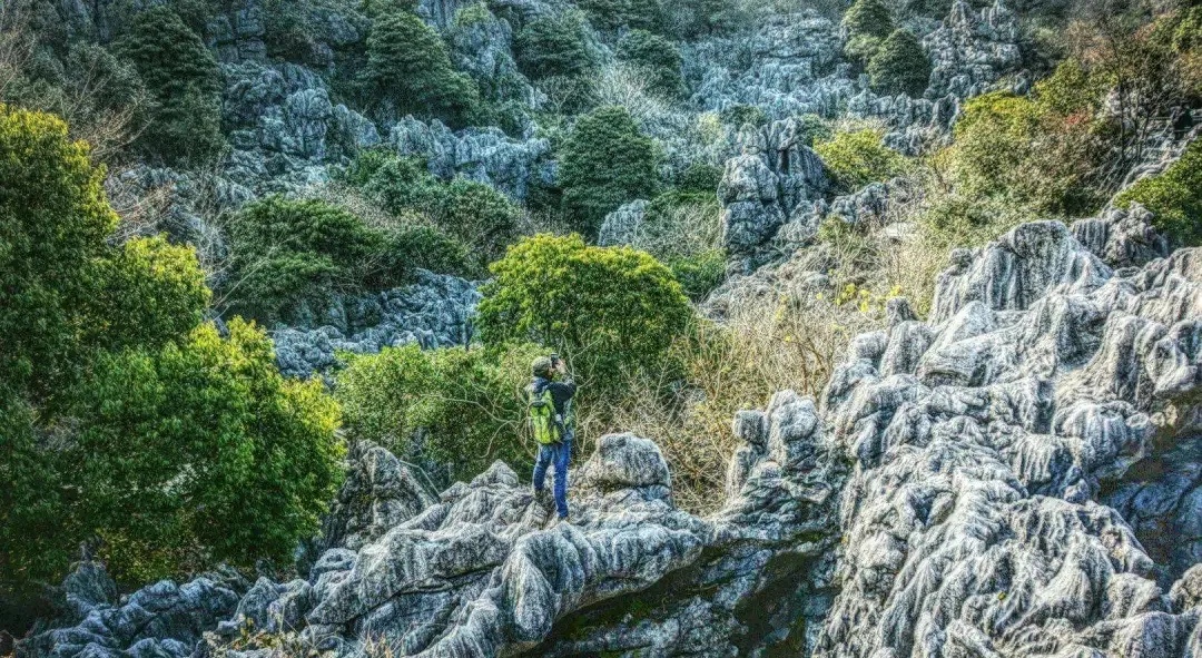 62d1e3efbc04f404dd401e0cab1ed80b-sz_1988352-1