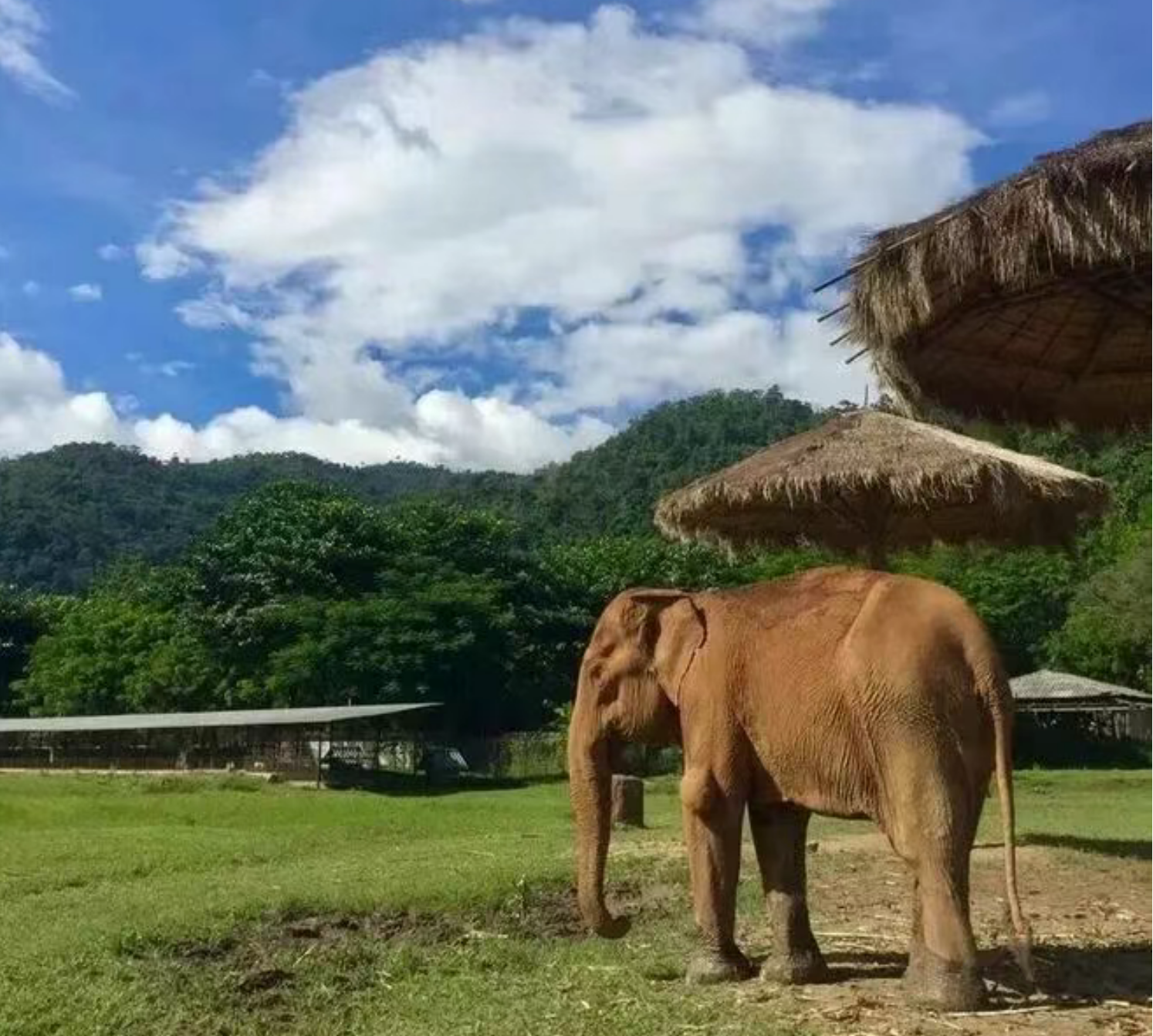 62e1ff0c52403f88ec64baf737ff65d6