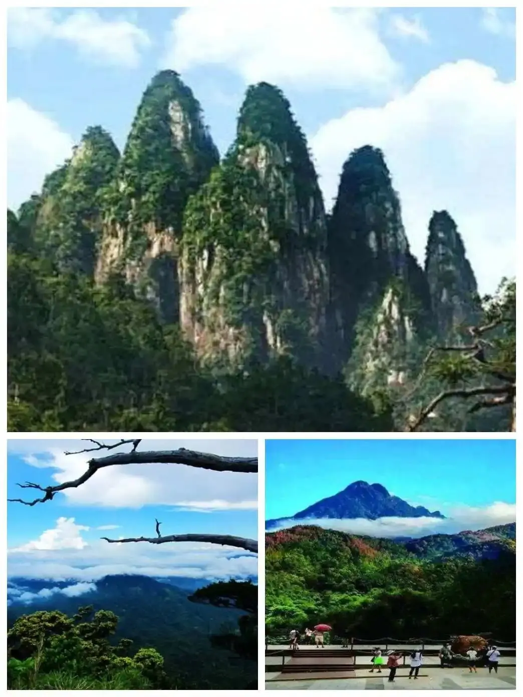 6336bbba3bc863fae6417ce6456ec330-sz_174087