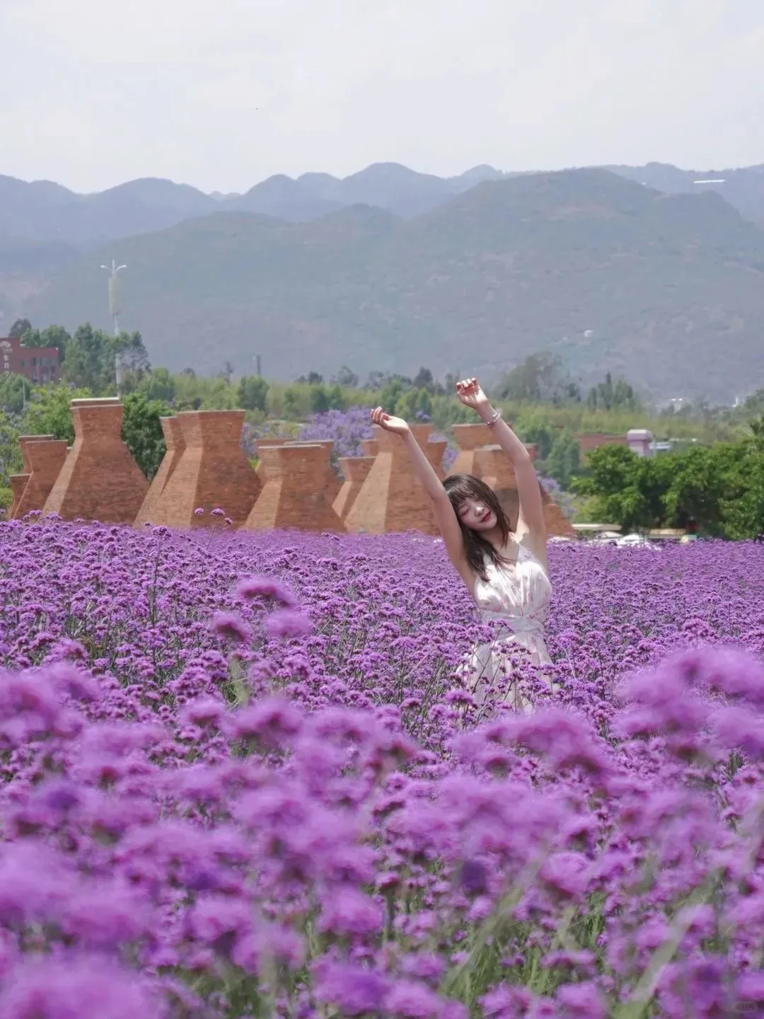 637735adbe7a31edc875ccf1423f4755-sz_206729-1