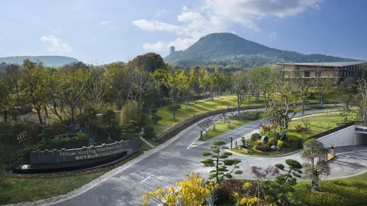 637f78d608fcf0f69250789f0518778b-sz_1488340-1