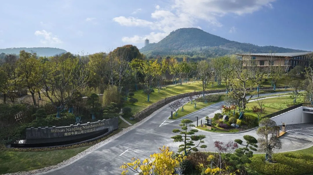 637f78d608fcf0f69250789f0518778b-sz_1488340