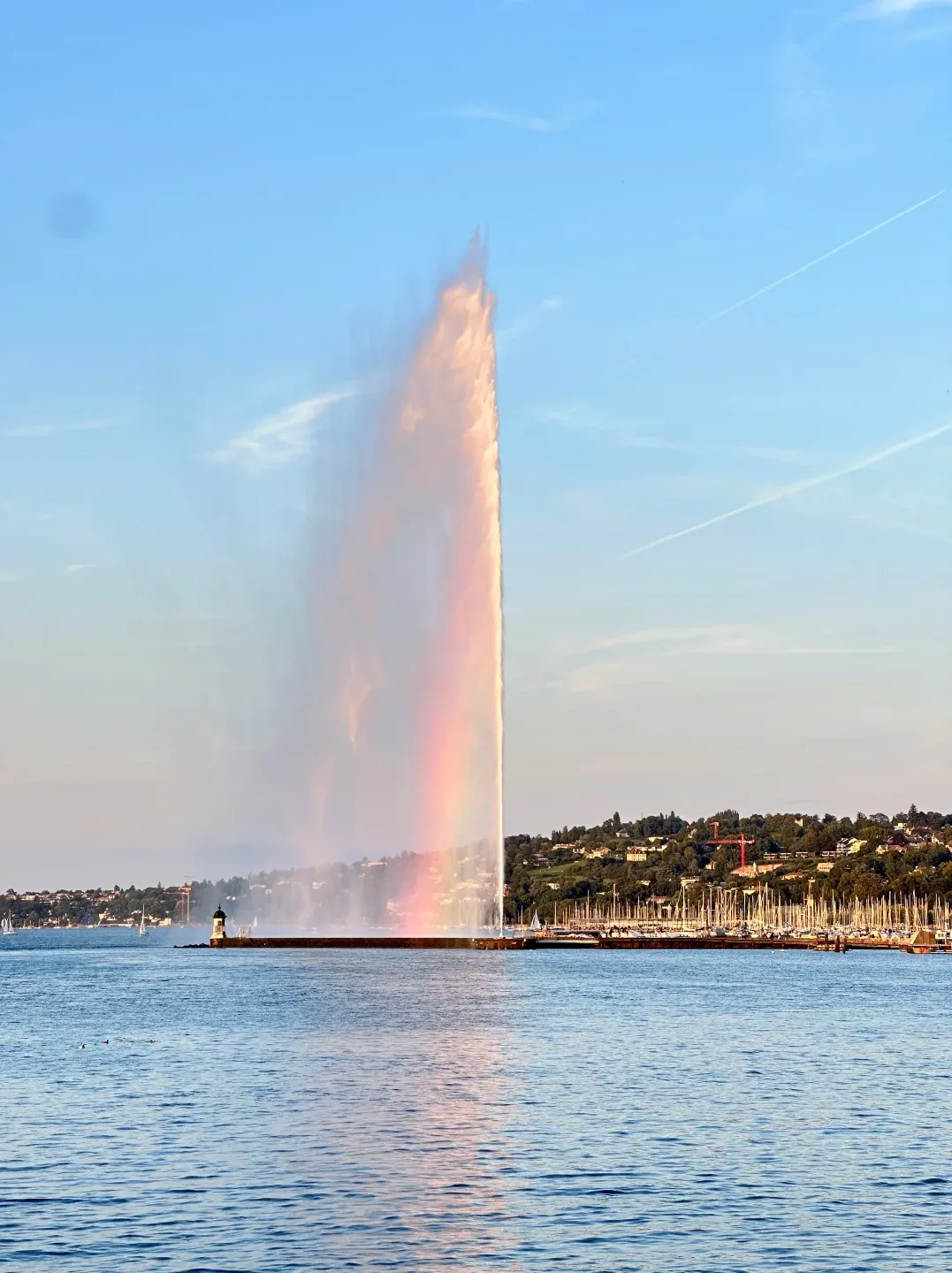 63d31698fa71eba919e2d9d6678b945e-sz_290674