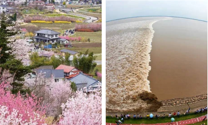 年夜饭·春节自由行：海宁·国际五星Pullman·铂尔曼3日1099元·壕华自助早3正餐·新春宴会！免费棋牌！