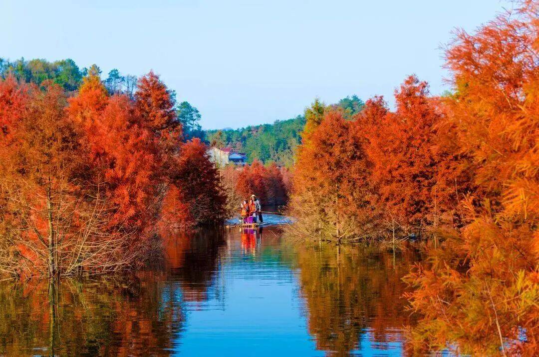 自驾安徽过大年，走皖南川藏线~住竹溪月民宿~吃农家特色美食~周边景点环绕~草坪、竹林、溪流，有山有水，你想要的这里都有~~~
